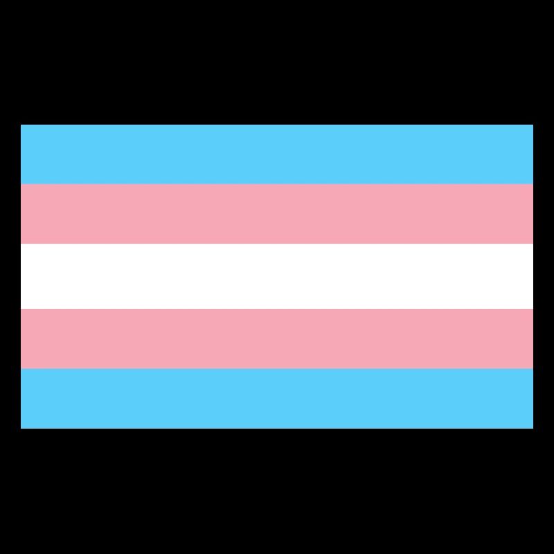 Transgender-Pride-Flagge