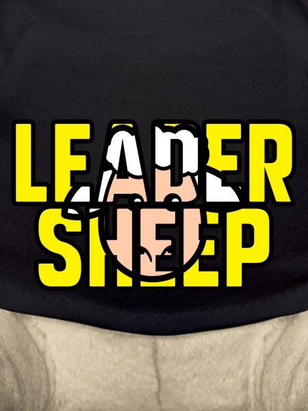 Leader sheep