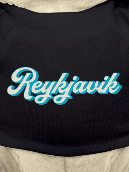 Reykjavik Neon Script