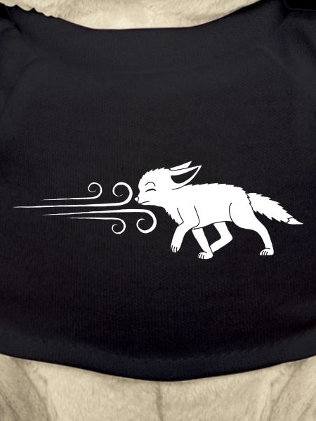 Der weiße Fuchs und der Wind