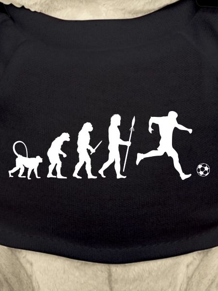 Fußball Evolution