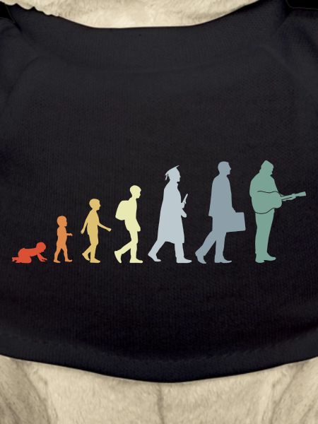 Guitarist Evolution
