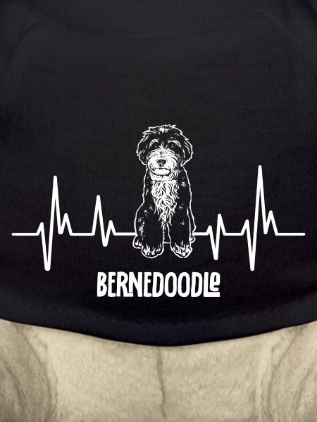Bernedoodle Dog