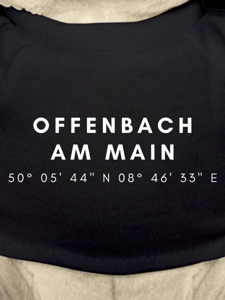 Offenbach am Main coordonnées