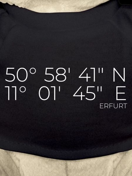 Coordonnées Erfurt