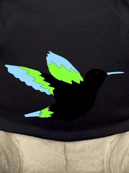 hummingbird