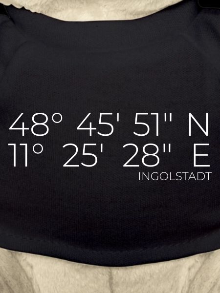 coordinates Ingolstadt