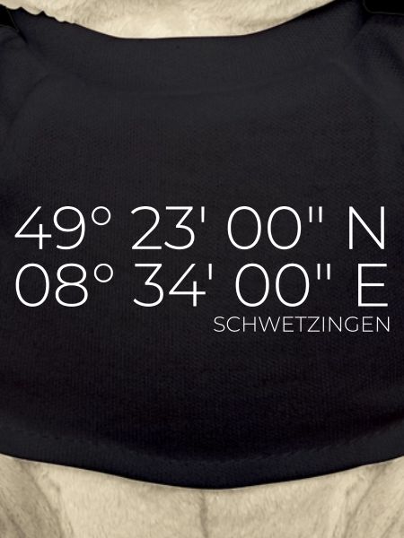 Coordinates Schwetzingen