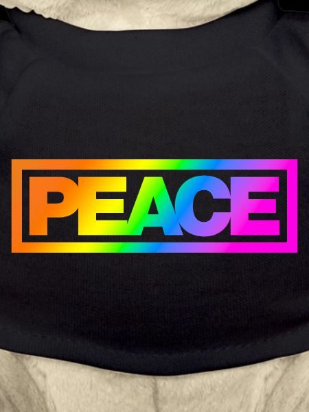 Typo PEACE Rainbowcolours