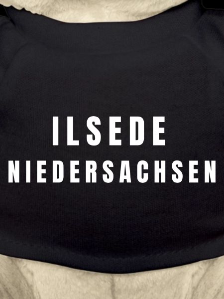 Ilsede, Lower Saxony