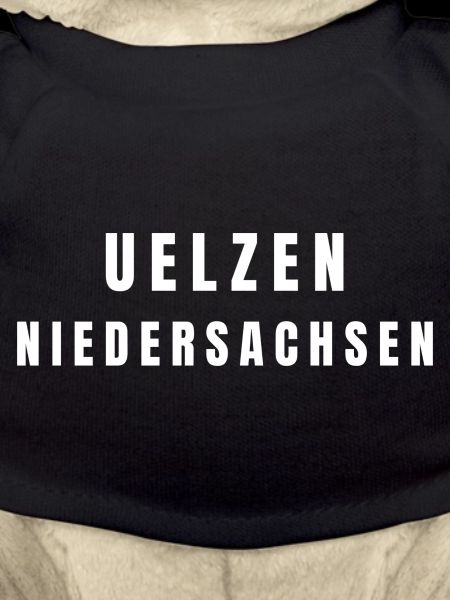 Uelzen, Basse-Saxe