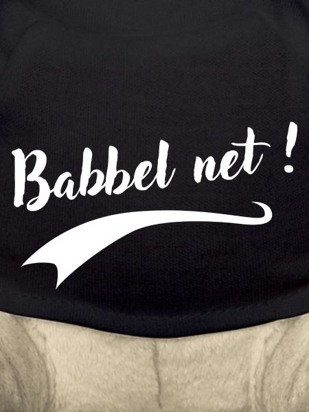 Babbel net