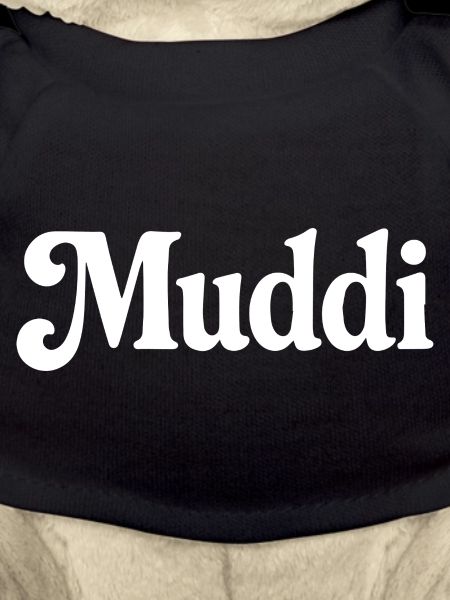 Muddi