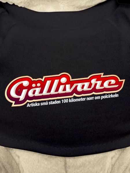 GALLIVARE