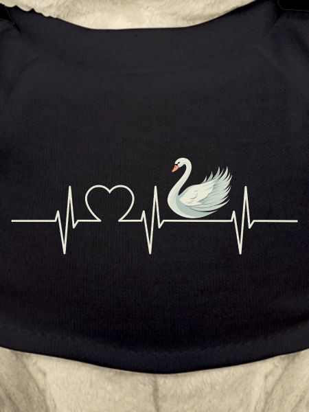 Swans Swan