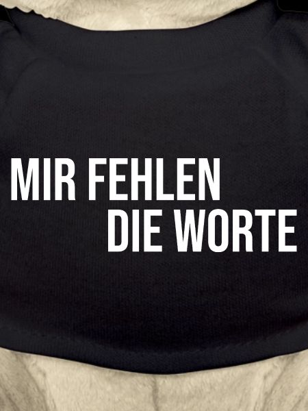 Mir fehlen die Worte