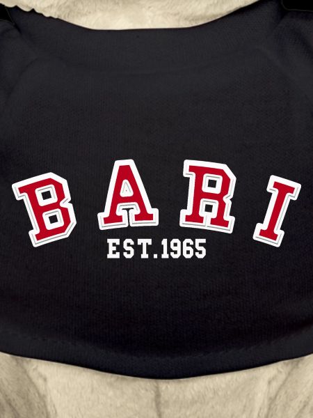Bari Gründung 1965