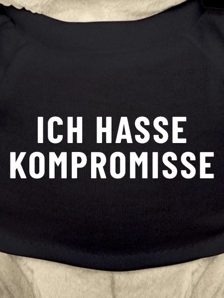 I hate compromise
