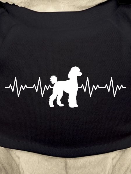 Poodle ECG Heartbeat