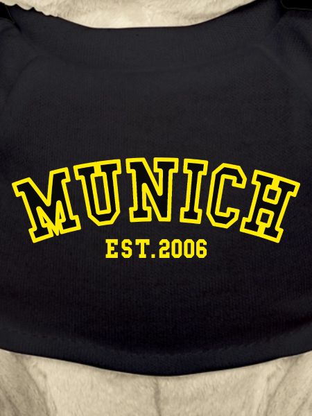 Munich Fondé en 2006