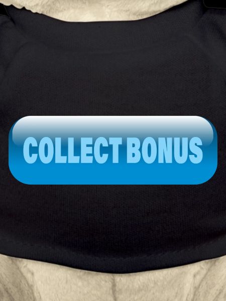 COLLECT BONUS
