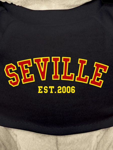 Seville Est. 2006