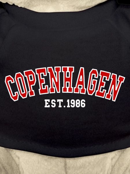 Copenhague Fondée en 1986