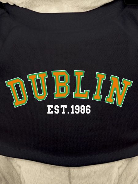 Dublin Fondée en 1986