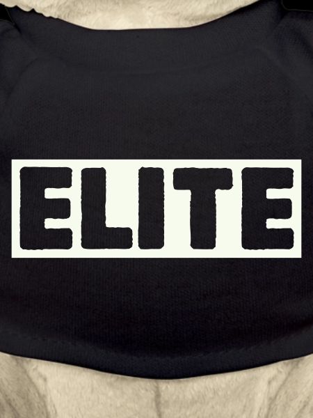 Elite Lettering Shirt