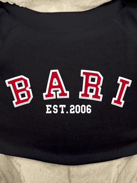 Bari Est 2006