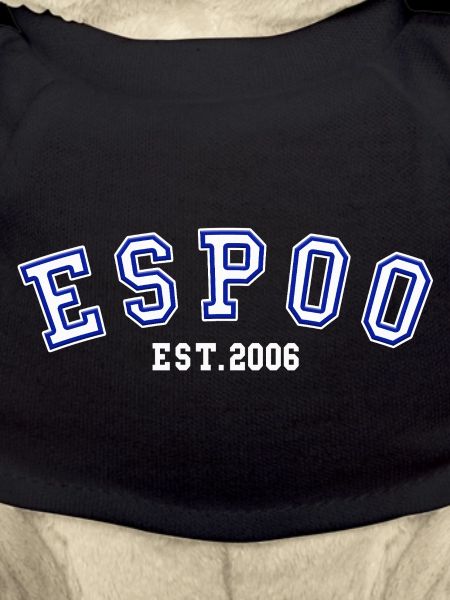 Espoo gegründet 2006