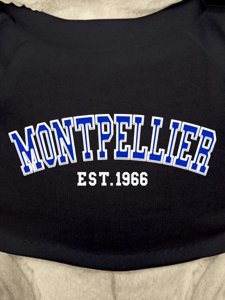 Montpellier gegründet 1966