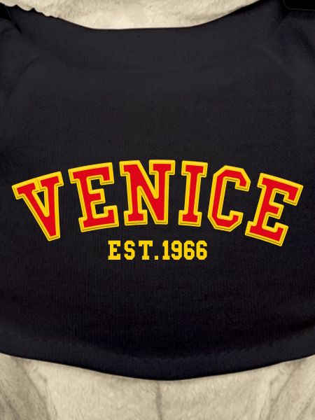 Venedig gegründet 1966