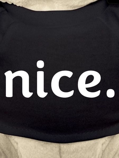 nice.
