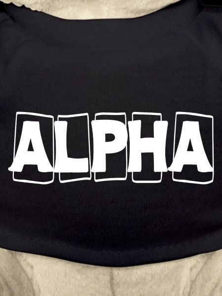 Alpha Fett Wortzeichen