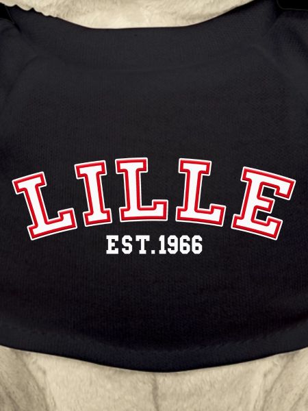 Lille Fondée en 1966