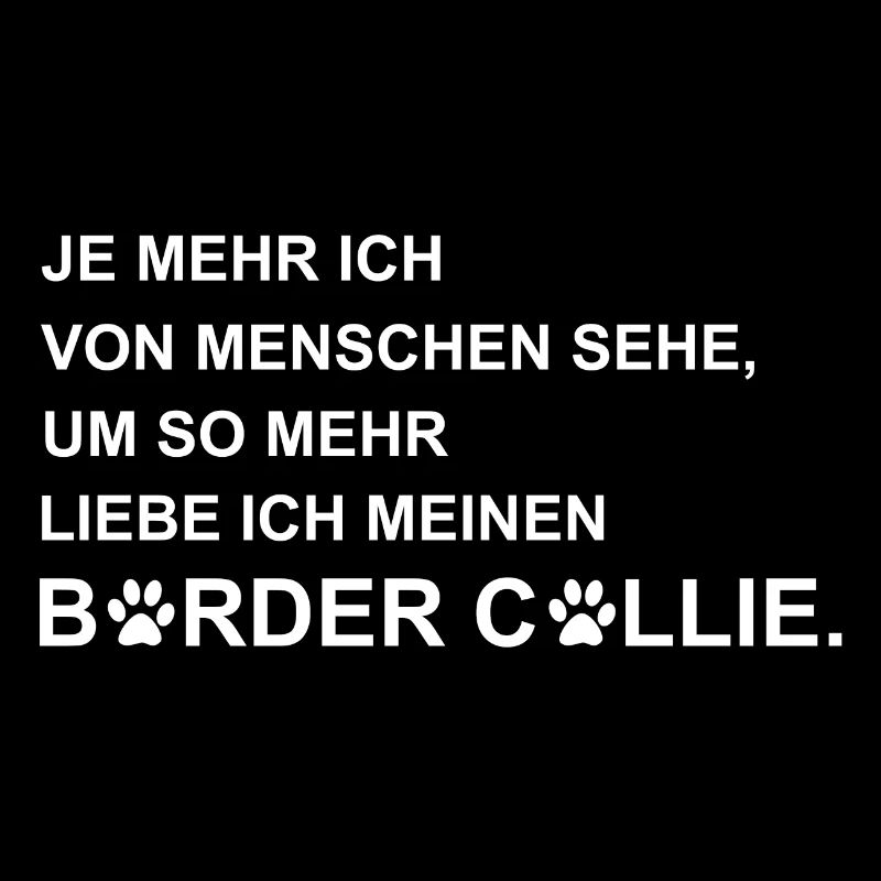 Border Collie - Hütehund