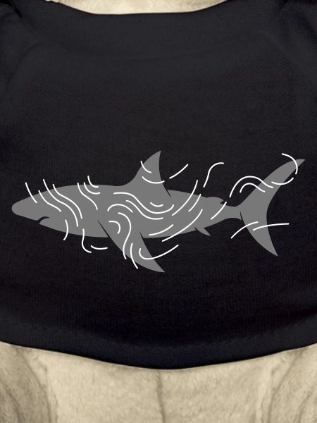 Shark and water nets