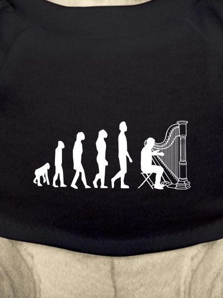 Harfe Harp Evolution