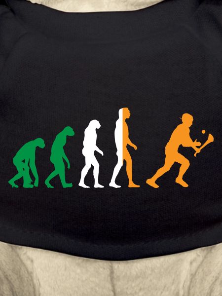 L’évolution du hurling
