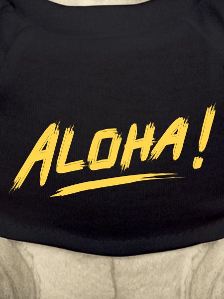 ALOHA !