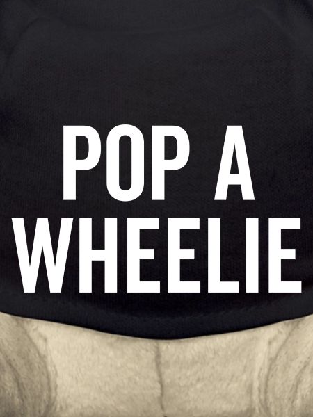 Pop a Wheelie
