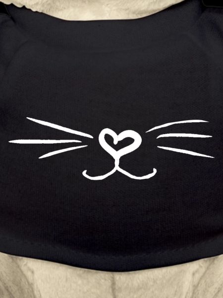 Chat de chat