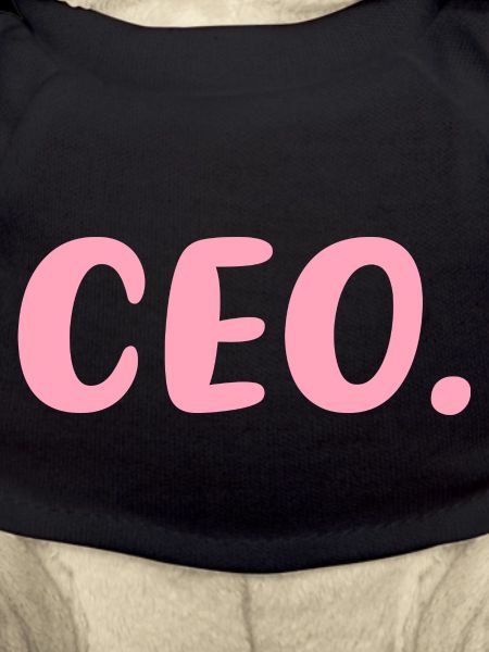 CEO Female Entrepreneur
