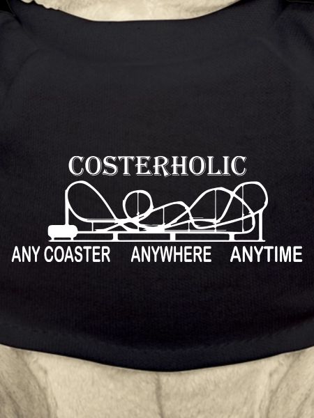 Rollercoaster Roller Coaster