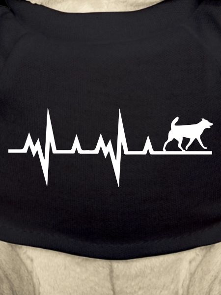 Dog dog
