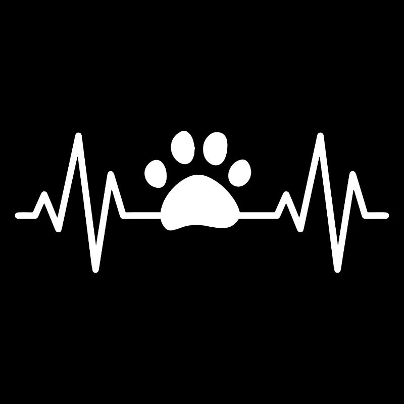Agilité de chien de chien