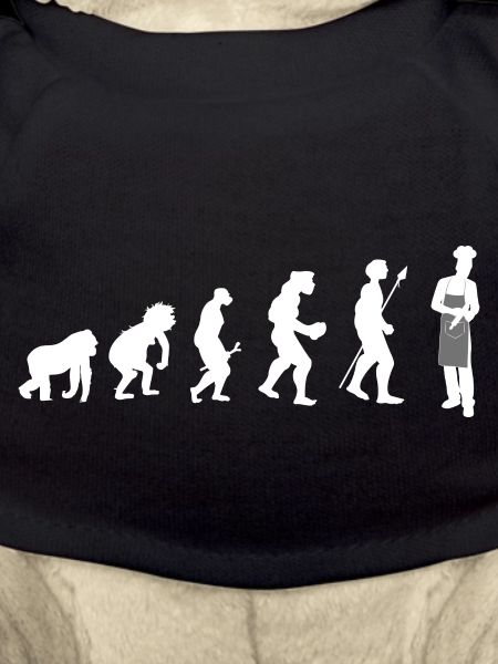 KochKoch Evolution