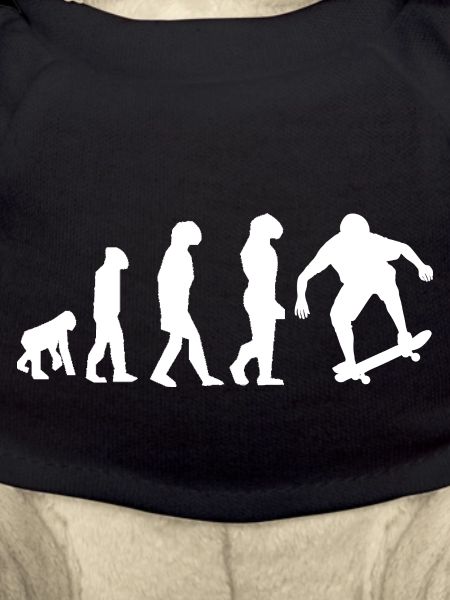 Skate-Evolution