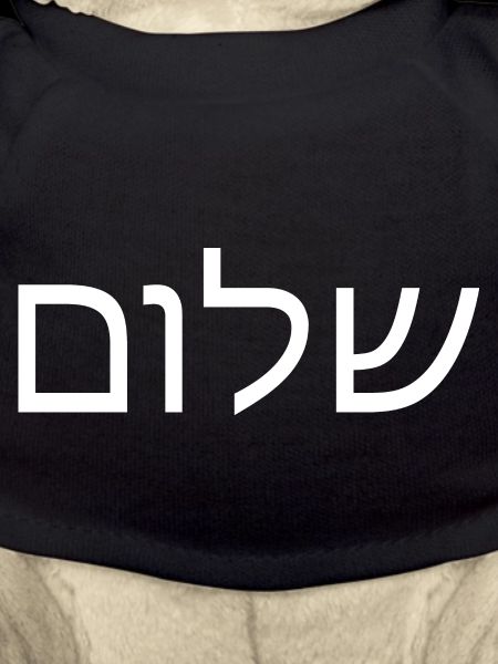 Shalom